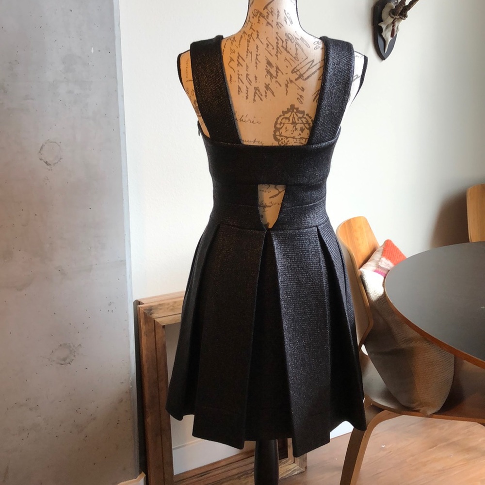 Robert Rodriguez Raffia Box Pleated Dress